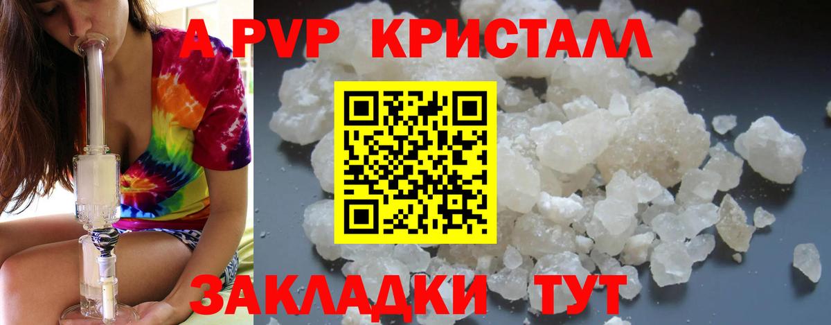 Альфа ПВП СК КРИС Надым