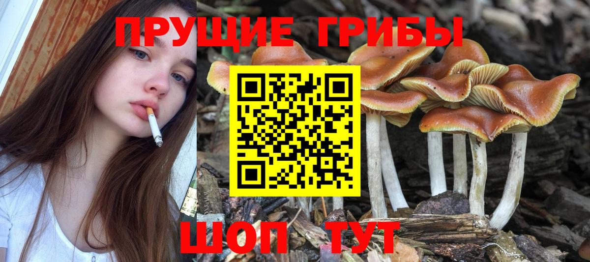 Псилоцибиновые грибы MAGIC MUSHROOMS  Вход с VPN  Надым 
