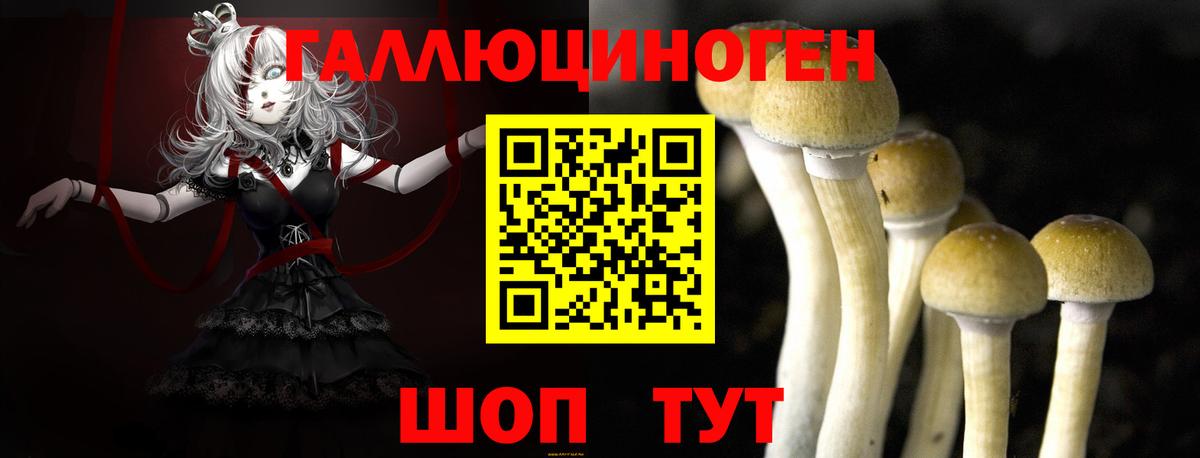 Галлюциногенные грибы мухоморы Надым